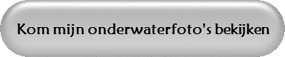 Kom mijn onderwaterfoto's bekijken